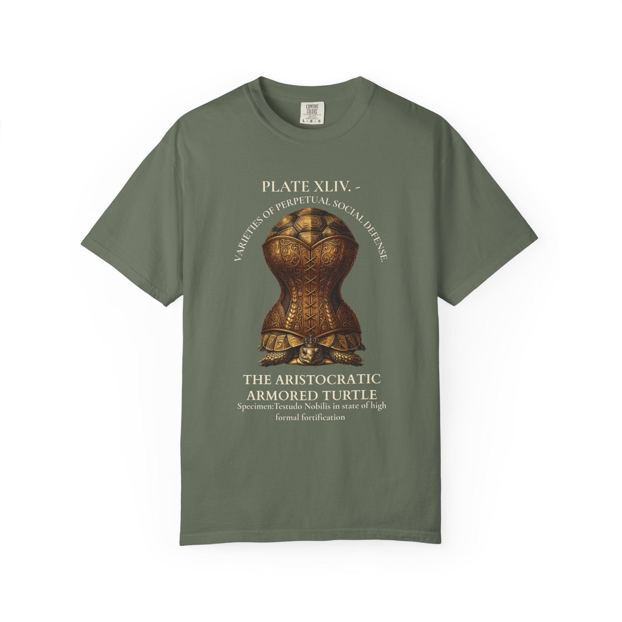 The Aristocratic Armored Turtle