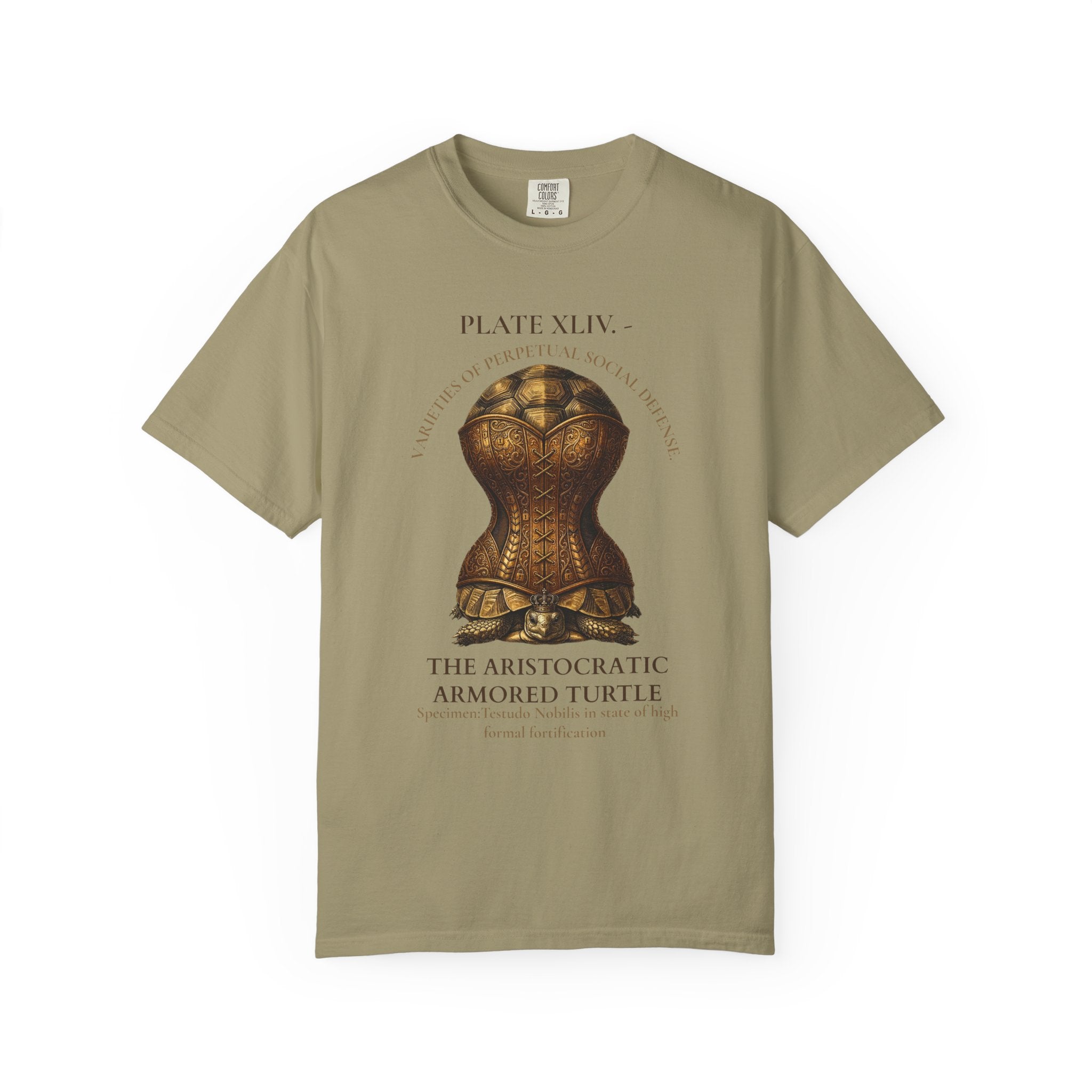 The Aristocratic Armored Turtle