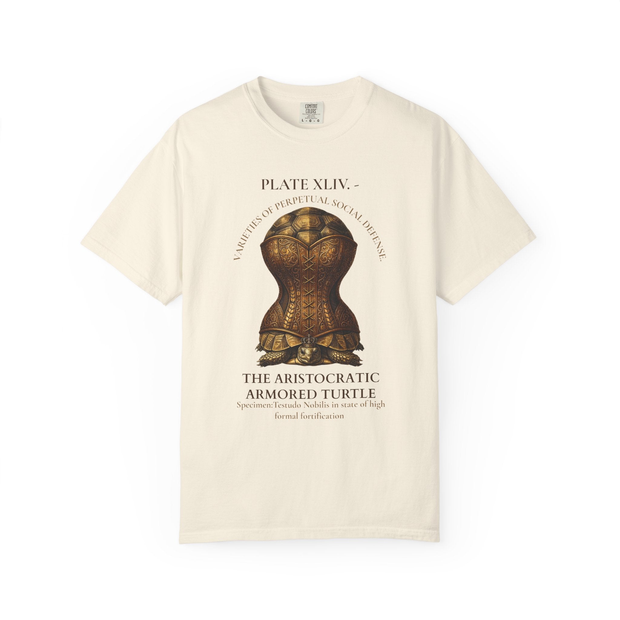 The Aristocratic Armored Turtle